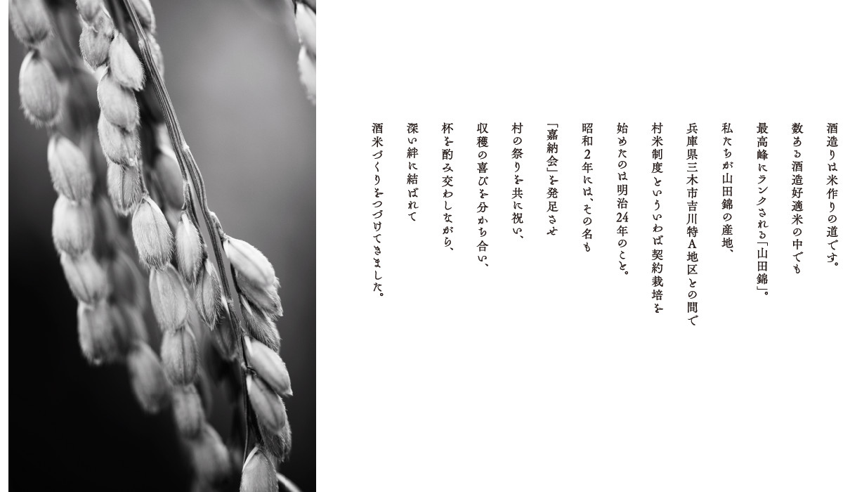 酒造りは米作りの道です。