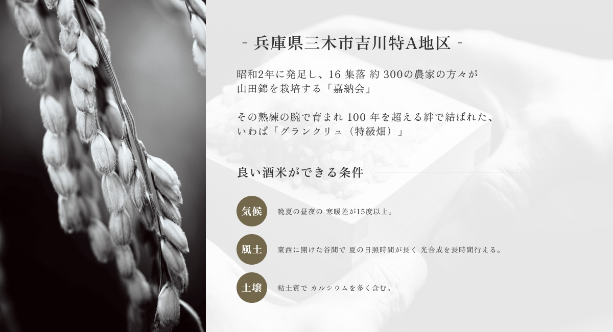 深い絆に結ばれて、酒米造りを続けてきました。